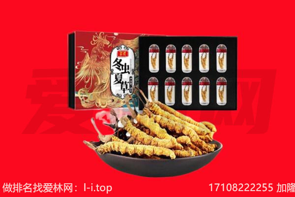 北京大兴区回收虫草.jpg